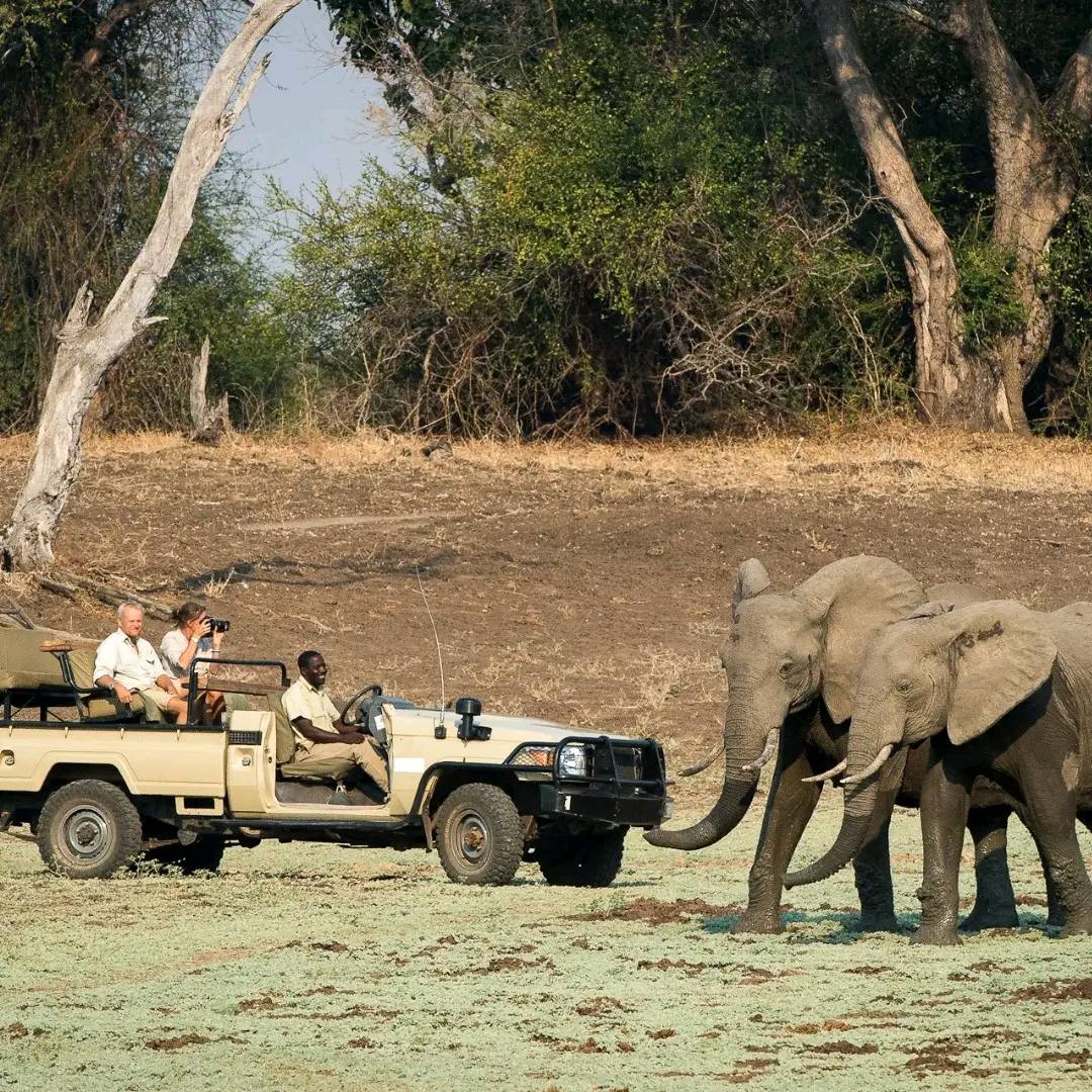 Game Drive