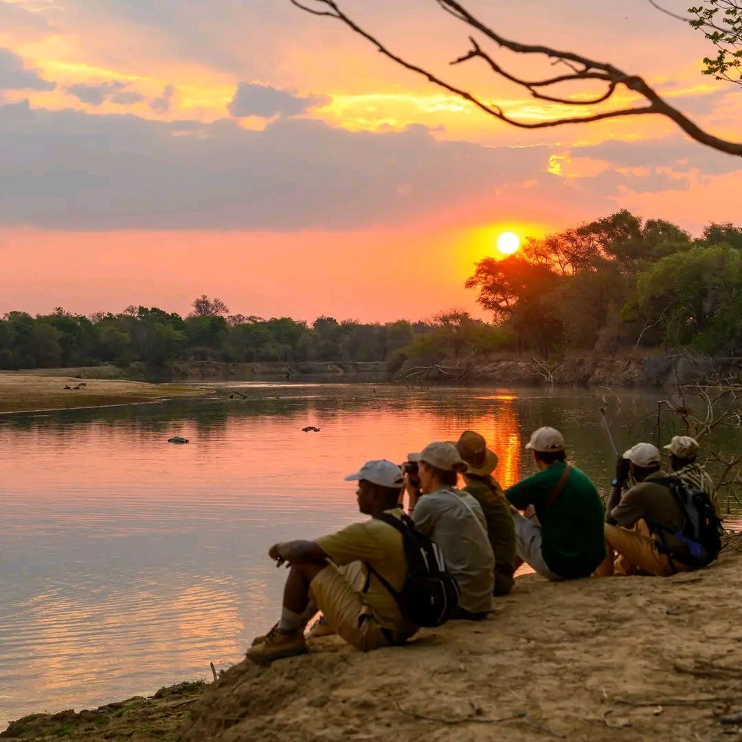 Our Expert Safari Guides