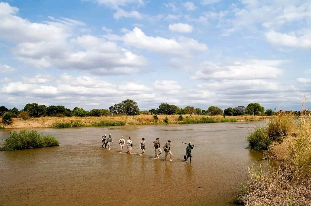 Walking Safari